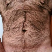 Urso Putão ZO (@ursoputao1) 's Twitter Profile