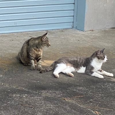 seiryu04597379's profile picture. 22歳 彼女欲しいです〜