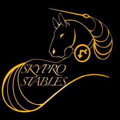 A branch of @skyprocostumes on rare occasions we make premade horse costumes sold by auction. #skyprostables