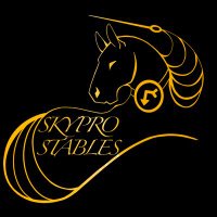 Skypro Stables (@skyprostables) 's Twitter Profile