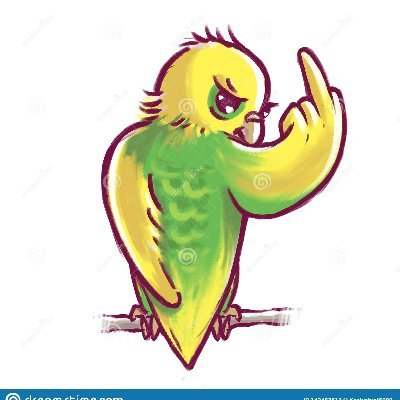 Angrybudgie Profile Picture