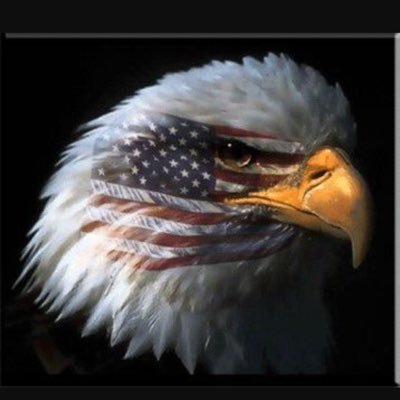 thom44's profile picture. 