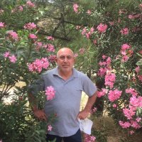 S Şimşek (@simsekci2) 's Twitter Profile
