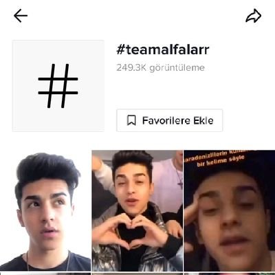 teamxalfalarr's profile picture. 