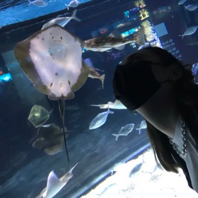 mirandakeh_'s profile picture. (ノ⁎⁍̴̛ᴗ⁍̴̛⁎)ノ彡┻━┻