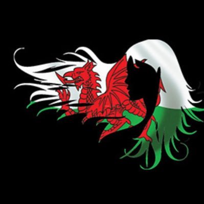 we exists to promote Hairdressing, Beauty & Barbering in Wales. Improving our profession by providing members with artistic, business benefits and support.