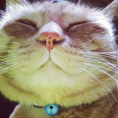 昭パパさんのプロフィール画像