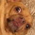 คนของตาเจ่า (@creemagnificent) Twitter profile photo คนของตาเจ่า (@creemagnificent) Twitter profile photo