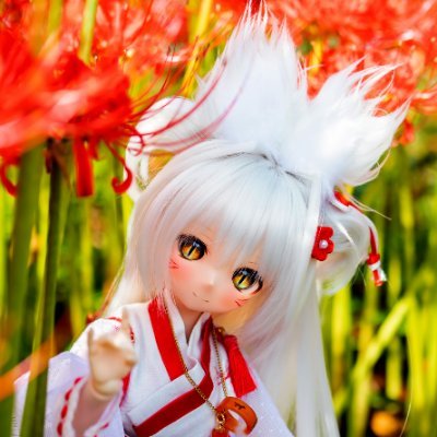 tikoi_doll Profile Picture