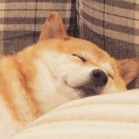 Jenny Kim (@kyueunkim) 's Twitter Profile