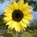 rick krueger - @nabatube - Twitter