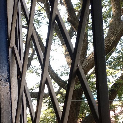 Oru_pavam_njan's profile picture. 🎈