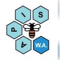 APIS - Association for Philosophy in Schools inc. (@apisinc) 's Twitter Profile