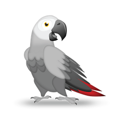 Psittacus has developed the most advanced Learning Management System (LMS) available to date and are leading the way in developing educational technology!