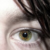 Patrick Horgan (@superflyninja) 's Twitter Profile