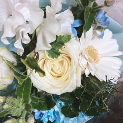 o_tatata_o's profile picture. 🐼好き懸賞垢✨ 無言フォロー歓迎🌟フォロー宜しくお願いします☺ #たたたんの当選報告