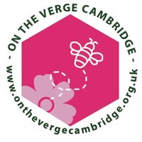 On The Verge Cambridge(@onthevergecambs) 's Twitter Profileg