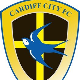 Cardiff City FC supporter.