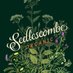 Sedlescombe Organic (@sedlescombevine) Twitter profile photo Sedlescombe Organic (@sedlescombevine) Twitter profile photo