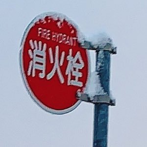 旅さんのプロフィール画像