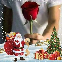 Arif Arif (@arifari77280224) Twitter profile photo