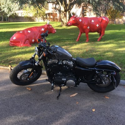 Love motorcycles, music, and traveling. Always love a good laugh and good company. Just here to meet new people to converse with and make friends with.