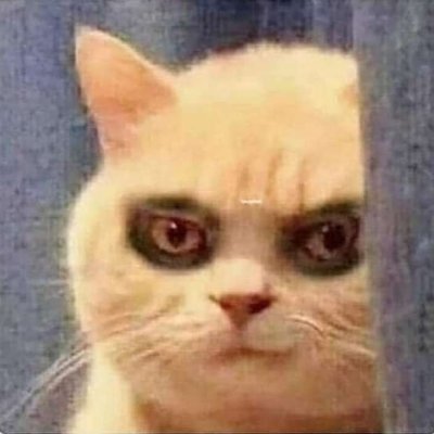 Idkwhttowrt's profile picture. Dumping ground of my unnecessary thoughts