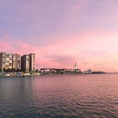 delinage's profile picture. He encontrado la respuesta, la felicidad es el Redbull Rojo (y el cielo y sus puestas de sol). Update: discontinuaron el Redbull Rojo y con él, la felicidad.