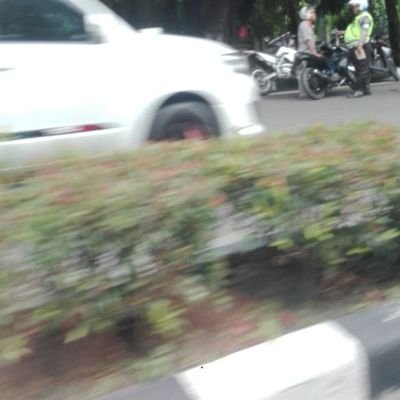 lelaki nya