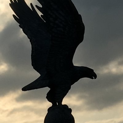 bexntex's profile picture. #proLife, Proud Catholic American, patriot and Christian Nationalist #PureBlood Christian Zionist