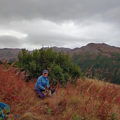 meesh2605's profile picture. 