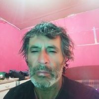 Fernando Gatica (@fernand93747900) 's Twitter Profile