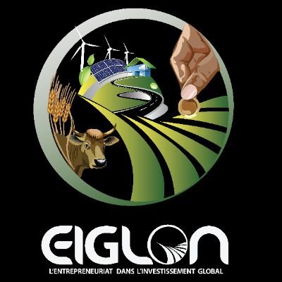 EIGLONETS's profile picture. Eiglon est une structure lancée pour une émergence socio-économique et autonomisation des jeunes en rdc réunissant plusieurs secteurs (domaines)
