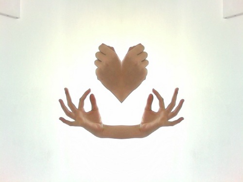 LauraMazgaj's profile picture. No data