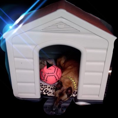 vallecas7788's profile picture. 