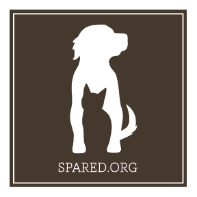 SPARED_ORG's profile picture. Launching soon! What can you spare to save a life?
Connecting animal shelters + rescue organizations + the community, and saving lives one item at a time!