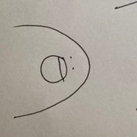 さやか (@nasumusume1212) 's Twitter Profile