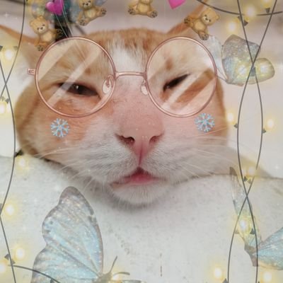 - Frases
- Videos para tik tok 
- Unica cuenta
✨Tik Tok:✨