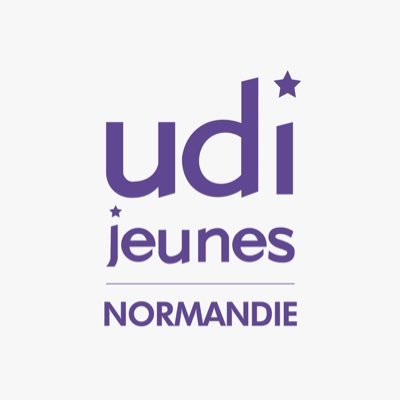 Les UDI Jeunes des 5 départements normands sont engagés auprès de la candidature de @senateur61 #Régionales2021