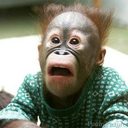 Michael Judd - @MichaelMJudd - Twitter