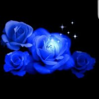 Dani Engel💙🛡 (@daniengel6) 's Twitter Profile Photo Dani Engel💙🛡 (@daniengel6) 's Twitter Profile Photo