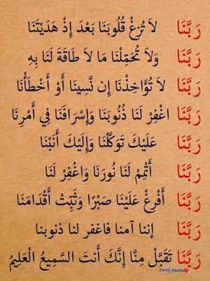 Saidy26864207's profile picture. 