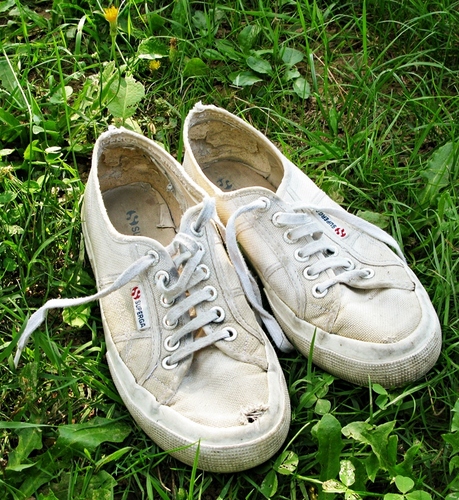 superga_rotte's profile picture. Mamma diceva sempre che dalle scarpe di una persona si capiscono tante cose, dove va, dove è stata (cit.Forrest Gump)