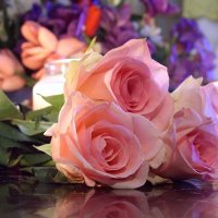 بسمة أمل (@ssaaww111) Twitter profile photo