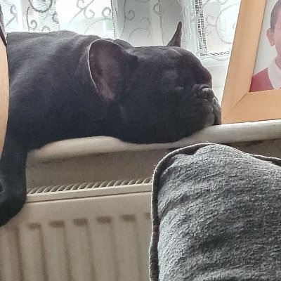 TheMarkEagles's profile picture. Quake player since 1999