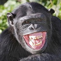 edmc (@edwardedmc) 's Twitter Profile