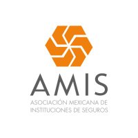 AMIS(@AMIS_mx) 's Twitter Profileg