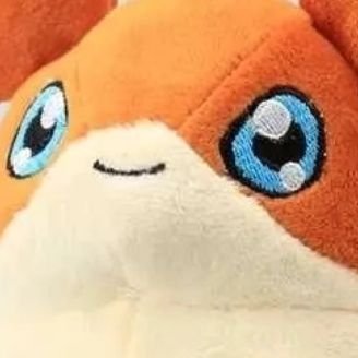 patamonさんのプロフィール画像