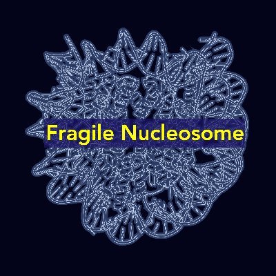 Fragile Nucleosome community: Discord forum, seminars, journal clubs, mentorship program & more.
Discord: https://t.co/z2qLJOQgRK
BlueSky: @fnucleosome.bsky.social