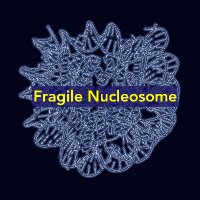 FragileNucleosome(@FNucleosome) 's Twitter Profile Photo